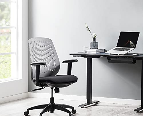 TACRONEY Office Chair Ergonomic, Back Support Home Office Desk Chairs with Adjustable Arm, Comfortable Ergonomic Office Chair, Tilt Back Swivel…