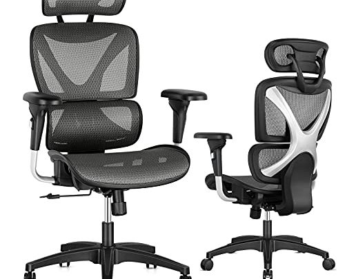 Gabrylly Ergonomic Office Chair, Large Mesh Chair with Lumbar Support – Double Back, Adjustable Headrest & Armrests, High-Back Home Desk…