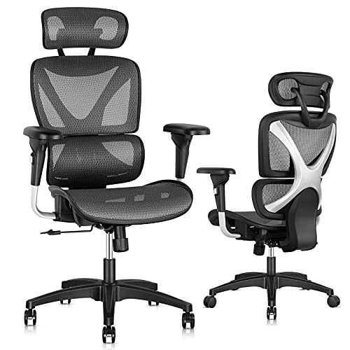 Gabrylly Ergonomic Office Chair, Large Mesh Chair with Lumbar Support – Double Back, Adjustable Headrest & Armrests, High-Back Home Desk…