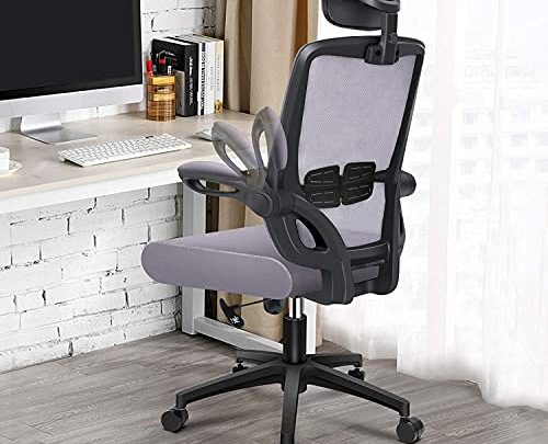 Ergonomic Office Desk Chair Home – Computer Desk Chairs Lumbar Support Mesh High-Back Task Chair with Flit-up Arms and Height…