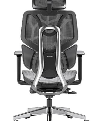 Hbada Ergonomic Office Chair Elastic Adaptive Adjustment Back Lumbar Support Computer Chair, High-Density Breathable Nylon Mesh Aluminum Alloy Bracket Desk…