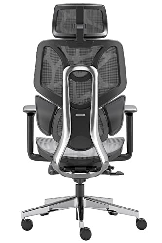 Hbada Ergonomic Office Chair Elastic Adaptive Adjustment Back Lumbar Support Computer Chair, High-Density Breathable Nylon Mesh Aluminum Alloy Bracket Desk…