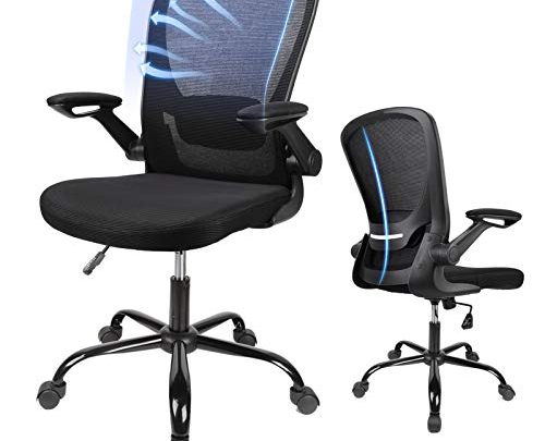 Ergousit Home Office Chair, Ergonomic Office Chair with Large Seat Cushion, Computer Desk Chair with Flip-up Arms, Task Chair with…