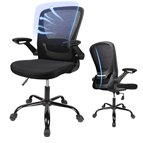 Ergousit Home Office Chair, Ergonomic Office Chair with Large Seat Cushion, Computer Desk Chair with Flip-up Arms, Task Chair with…