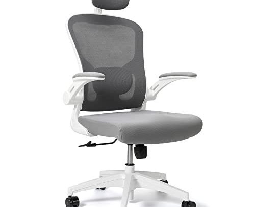 Leteuke Office Chair, Ergonomic Office Chair with Padded Lumbar Support and 90° Flip-up Armrests, High Back Mesh Home Office Chair,…