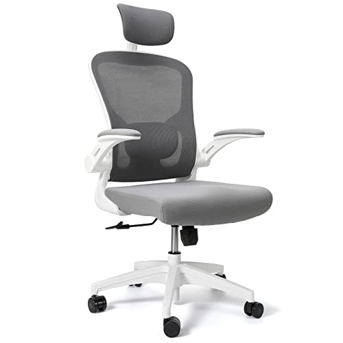 Leteuke Office Chair, Ergonomic Office Chair with Padded Lumbar Support and 90° Flip-up Armrests, High Back Mesh Home Office Chair,…