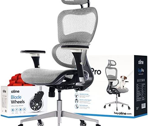 Oline ErgoPro Ergonomic Office Chair – Rolling Desk Chair with 4D Adjustable Armrest, 3D Lumbar Support and Blade Wheels -…
