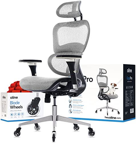 Oline ErgoPro Ergonomic Office Chair – Rolling Desk Chair with 4D Adjustable Armrest, 3D Lumbar Support and Blade Wheels -…