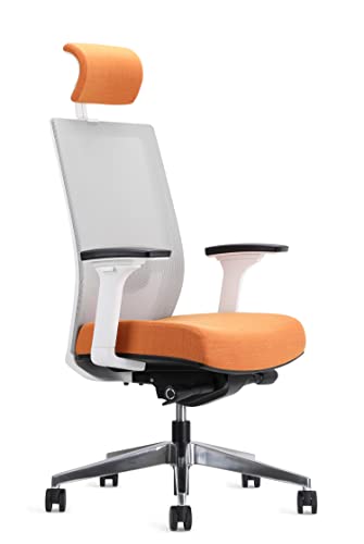 EasyErgo Apollo Ergonomic Chair – Ergo Mesh Design for Computer Desk Work – Comfortable Office Chair with Detachable Headrest, Magma