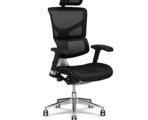X-Chair X2 Management Task Chair, Black K-Sport Mesh Fabric with Headrest – Ergonomic Office Seat/Dynamic Variable Lumbar Support/Floating Recline/Highly Adjustable/Perfect…