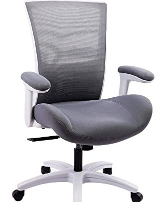 BOLISS Ergonomic Office Computer Desk Chair with Flip Arms Waist Support Function,500 lbs – Grey