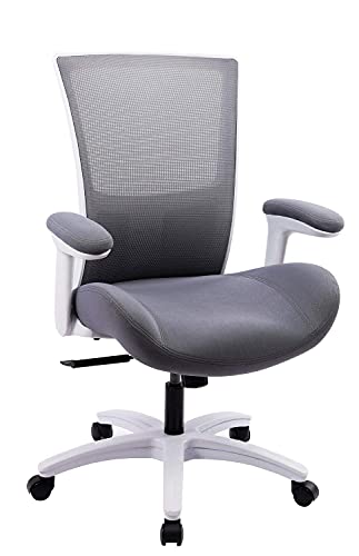BOLISS Ergonomic Office Computer Desk Chair with Flip Arms Waist Support Function,500 lbs – Grey