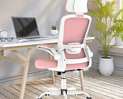 Mimoglad Office Chair, High Back Ergonomic Desk Chair with Adjustable Lumbar Support and Headrest, Swivel Task Chair with flip-up Armrests…