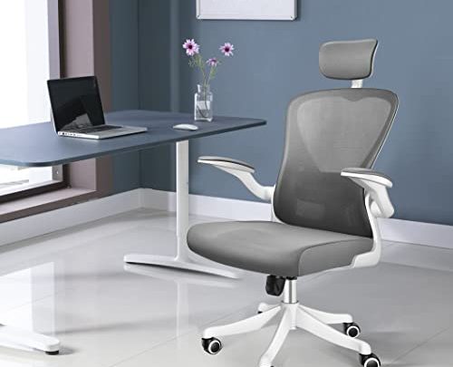 NOXXON Big and Tall Office Chair with Adjustable Lumbar Support,High-Back Ergonomic Computer Chair with Wheels,Home Office Mesh Desk Chair White