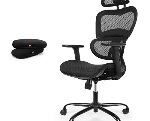 ErgoRo Ergonomic Office Chair-360°Swivel Desk Chair with 3D Adjustable Armrest & Memory Foam Armrest Pads, 3D Lumbar Support, Executive Office…