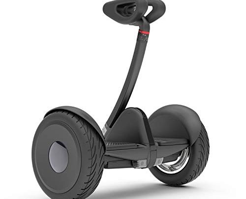 Segway Ninebot S Smart Self-Balancing Electric Scooter with LED light, Portable and Powerful, Black, Large