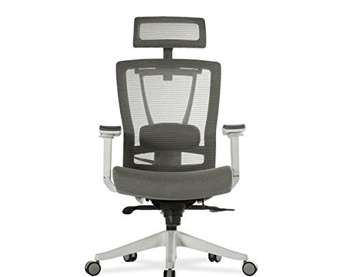 Autonomous Premium Ergonomic Office Chair for Computer or Gaming, with Wheels, Lumbar Support, Adjustable Seat, Headrest, and Armrests, Mesh Back,…
