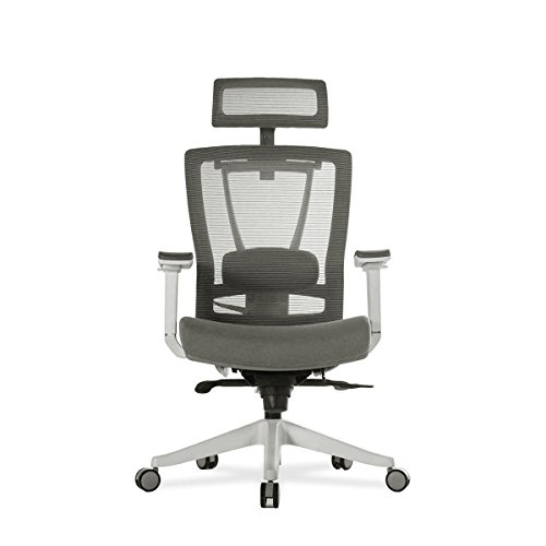 Autonomous Premium Ergonomic Office Chair for Computer or Gaming, with Wheels, Lumbar Support, Adjustable Seat, Headrest, and Armrests, Mesh Back,…