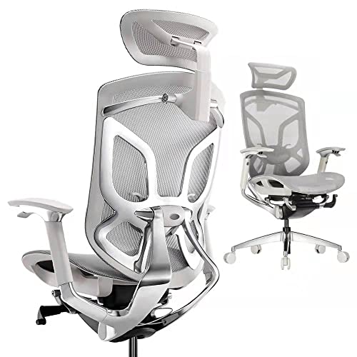 ERGOUP Ergonomic Office Chair Computer Desk Chiar Mesh High Back Desk Chair with 4D Armrest 3D Headrest, Mesh Computer Chair…