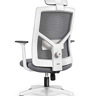 NEO CHAIR Office Chair Computer Desk Chair – Bulk Business Ergonomic High Chair Cushion Lumbar Support Wheels Comfortable Mesh Racing…