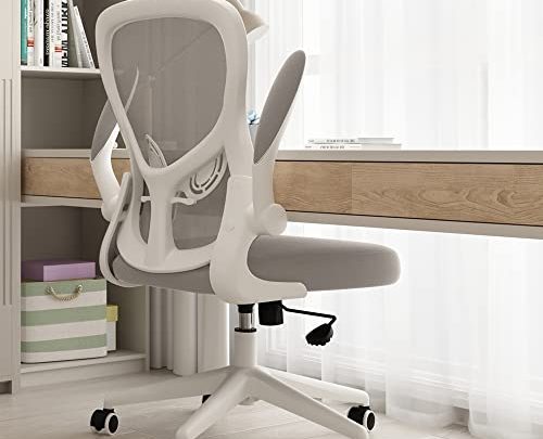 Hbada Office Chair, Ergonomic Desk Chair, Computer Mesh Chair with Lumbar Support and Flip-up Arms, Gray