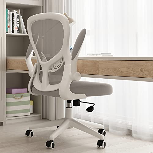 Hbada Office Chair, Ergonomic Desk Chair, Computer Mesh Chair with Lumbar Support and Flip-up Arms, Gray