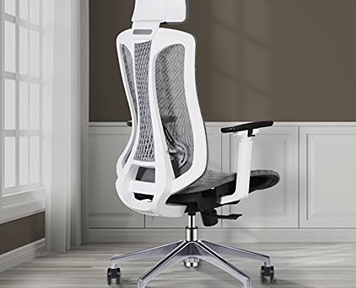 Logicfox Ergonomic Office Chair，Mesh Office Chair with Adjustable 3D armrests，Breathable Mesh Design High Back Desk Chair with Adjustable Lumbar Support,…