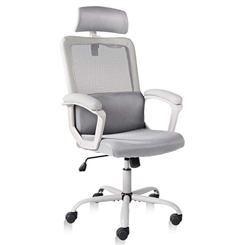 Ergonomic Office Chair, Mesh Computer Desk Chair High Back Padded Upholstered Armrests Task Swivel Chair with Adjustable Headrest & Clothes…