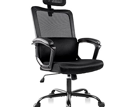 Office Chair, Ergonomic Mesh Desk Chair, High Back Swivel Task Executive Computer Chair Padding Comfy Armrests with Adjustable Headrest Lumbar…