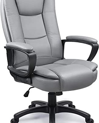 Home Office Chair, Ergonomic Desk Chair, Adjustable Task Chair for Lumbar Back Support, Computer Chair with Rolling Swivel and Armrest,…