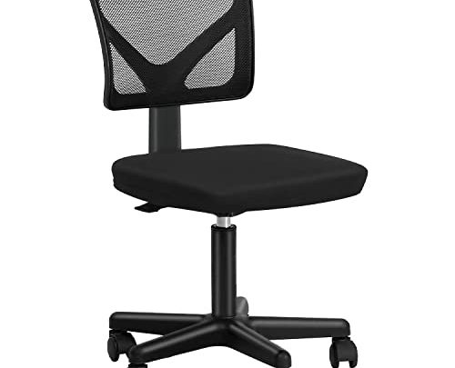 Office Chair Ergonomic Desk Chair, Armless Mesh Computer Chair with Lumbar Support Swivel Rolling Executive Adjustable Task Chair for Back…