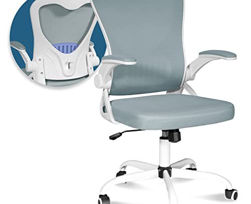 MUZII Mesh Office Chair, Ergonomic Mesh Office Chair with Lumbar Support, Desk Chair with Wheels, Task Chair with Arms Executive…