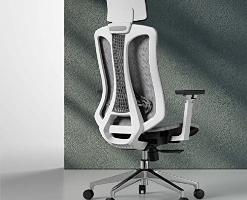 Logicfox Ergonomic Office Chair, Ergonomic Chair with 3-Way Armrests, Breathable Mesh Office Chair with Adjustable Lumbar Support, High Back Desk…