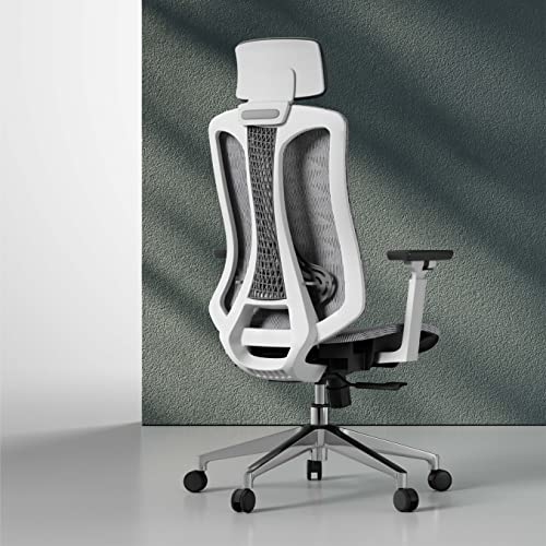 Logicfox Ergonomic Office Chair, Ergonomic Chair with 3-Way Armrests, Breathable Mesh Office Chair with Adjustable Lumbar Support, High Back Desk…