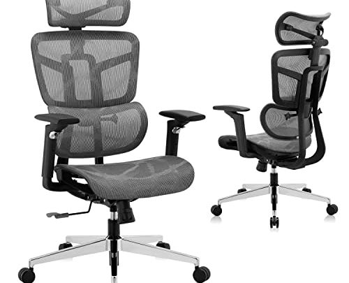 Ergonomic Office Chair, High Back Office Chair, Big & Tall Mesh Computer Chair with Lumbar Support/Headrest/5D Armrests, Executive Desk Chair…