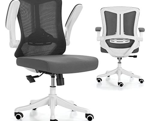 Eognyzie Home Office Desk Chairs with Ergonomic Adjustable Back Support, Mesh Computer Gaming Chair with Adjustable Ergonomic Lumbar Support for…
