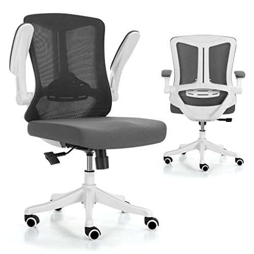 Eognyzie Home Office Desk Chairs with Ergonomic Adjustable Back Support, Mesh Computer Gaming Chair with Adjustable Ergonomic Lumbar Support for…