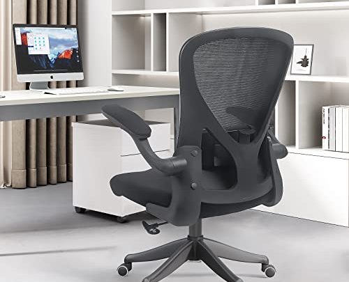 SICHY AGE Office Chair Ergonomic Computer Office Chair Tilt Function Flip-Up Arms, Cushion for Lumbar Support and PU Wheels, 360…