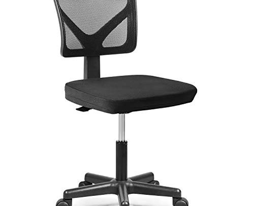 Rimiking Mesh Low-Back Ergonomic Swivel Chair Computer Chair Task Chair Desk Chair Armless Home Office Chair, Adjustable Height, Black