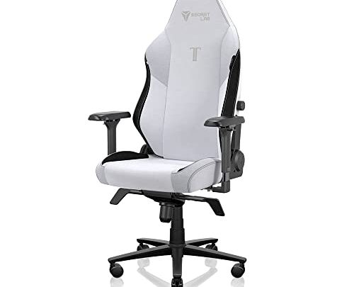 Secretlab Titan Evo 2022 Artic White Gaming Chair – Reclining, Ergonomic & Comfortable Computer Chair with 4D Armrests, Magnetic Head…