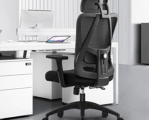 Primy Ergonomic Office Chair, Computer Desk Chair with Adjustable Sponge Lumbar Support, Comfortable Thick Cushion High Back Desk Chair with…