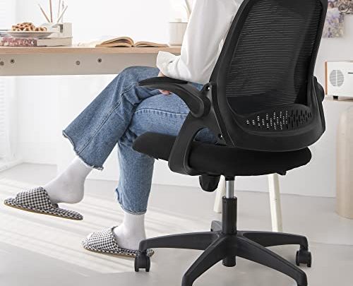 neo chair Office Desk Chair Computer Gaming Chair with Executive Ergonomic Lumbar Back Support Flip-up Padded Armrest Adjustable Height and…