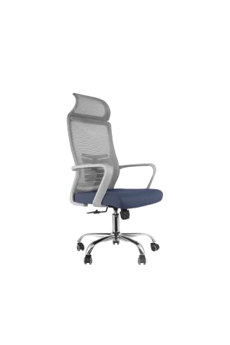 Lifetime Home Ergonomic Office Chair, High Back Desk Chair with Lumbar Support, Upgraded Wheels, Height Adjusting, Swivel Computer Task Rocking…