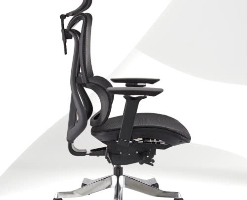BROBRIYO Ergonomic Office Chair, High Back Desk Chair with Separate Height Adjustable Backrest & Lumbar Support, 4D Armrest Computer Chair…