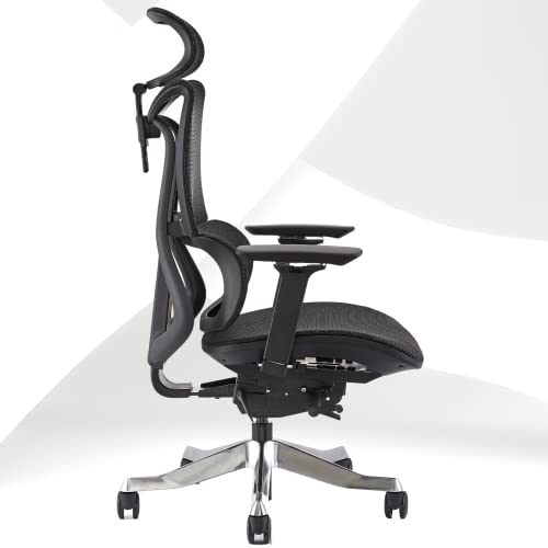 BROBRIYO Ergonomic Office Chair, High Back Desk Chair with Separate Height Adjustable Backrest & Lumbar Support, 4D Armrest Computer Chair…