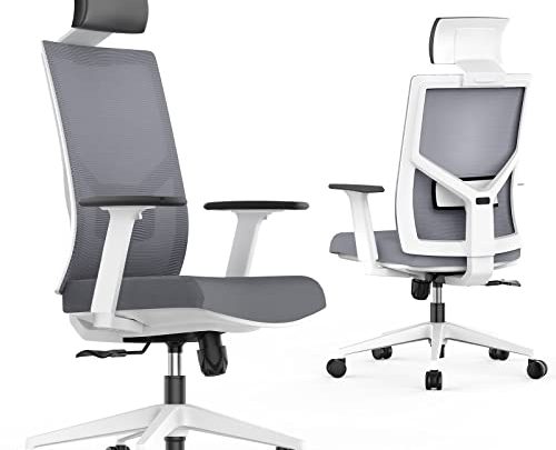 Season wind Ergonomic Office Chair, Home Office Desk Chairs Big Tall for Heavy People Mesh Executive Chair with Wheels Adjustable…