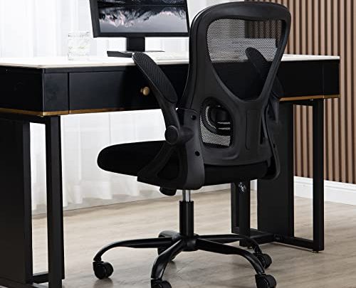 ZJhome 360-Degree Swivel Home Office Computer Desk Chair with Wheels and Flip-up Arms, Lumbar Support Mesh Ergonomic Office Chair, Height…
