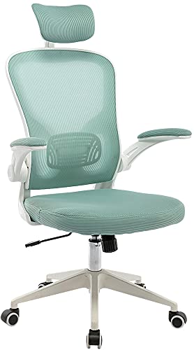 SUKIDA Office Chair Breathable Mesh Fashionable Movable Desk Chair Headrest Adjustable Waist Support Movable Armrests Rocking Adjustable Height Free Rotation…