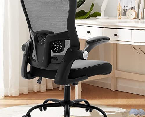 Nobofeeling Home Office Chair, High Back Desk Chair with 5 Years Warranty and Adjustable Lumbar Support, Computer Chair with Soft…