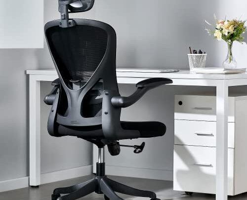 Moppson Ergonomic Office Chair, High Back Desk Chair,360-Degree Swivel,Adjustable Height with Flip-Up Arms,Tilt Function,Cushion for Lumbar Support Office Chair (Black)